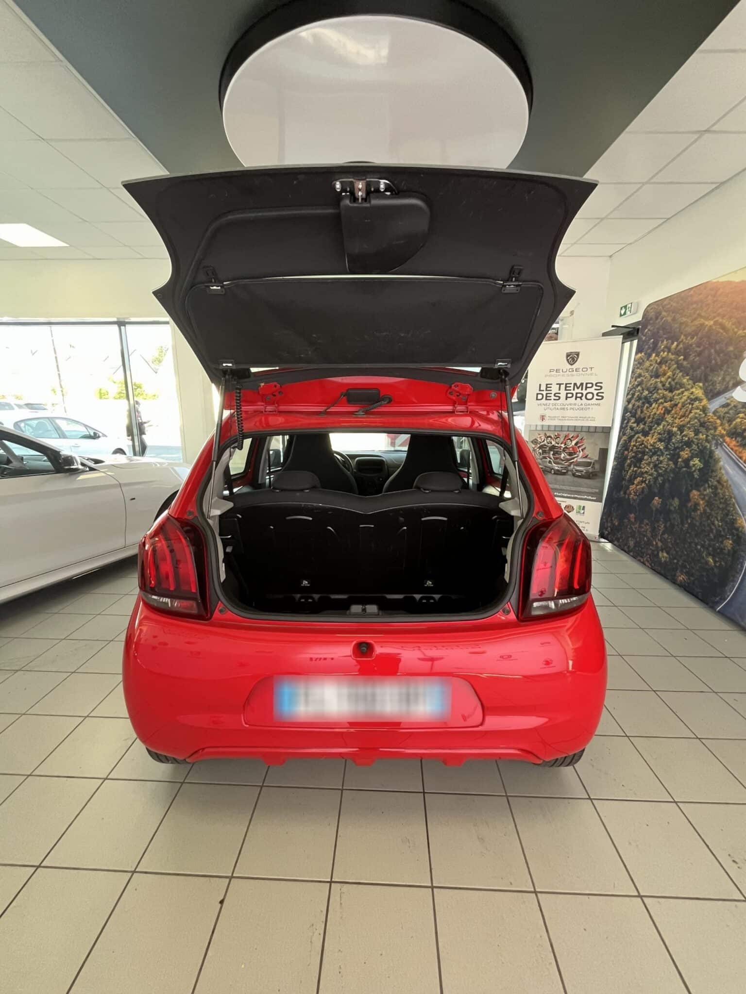Voiture Cibema Richard
